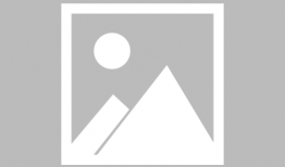 野花电视剧,绽放于尘世的坚韧之花